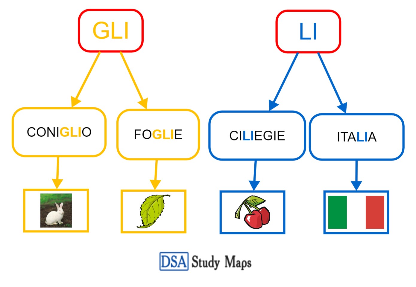 Gli Li Dsa Study Maps Junior