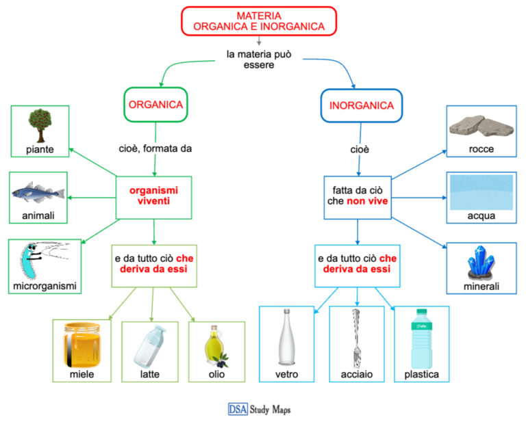Materia Organica E Inorganica Mappa Concettuale