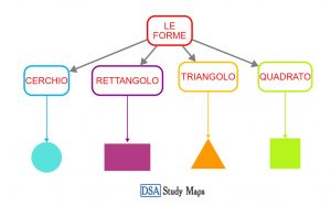 Le Forme Dsa Study Maps Junior