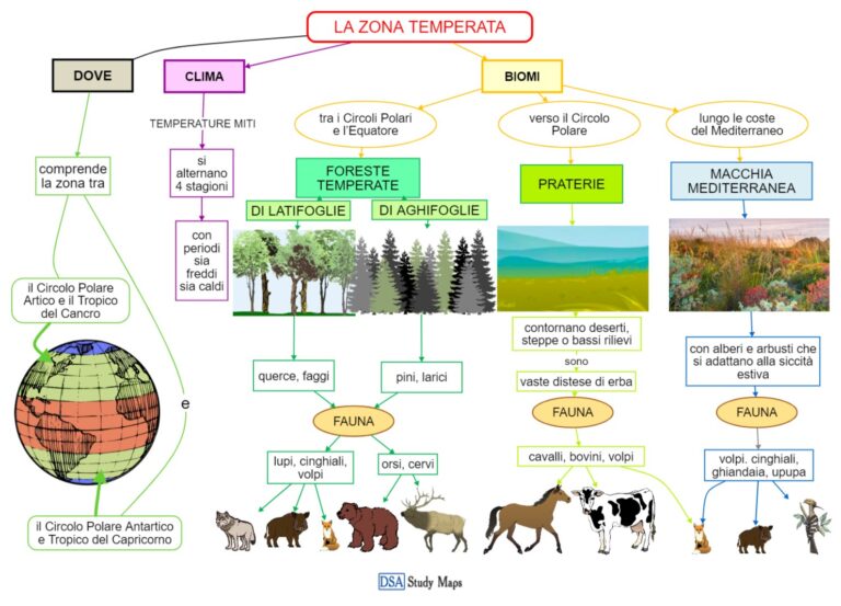 La Zona Temperata Mappa Concettuale