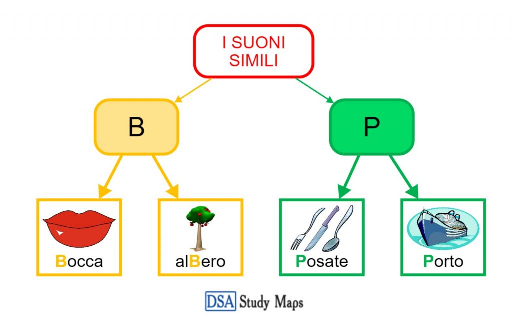 I Suoni Simili B P - DSA Study Maps Junior