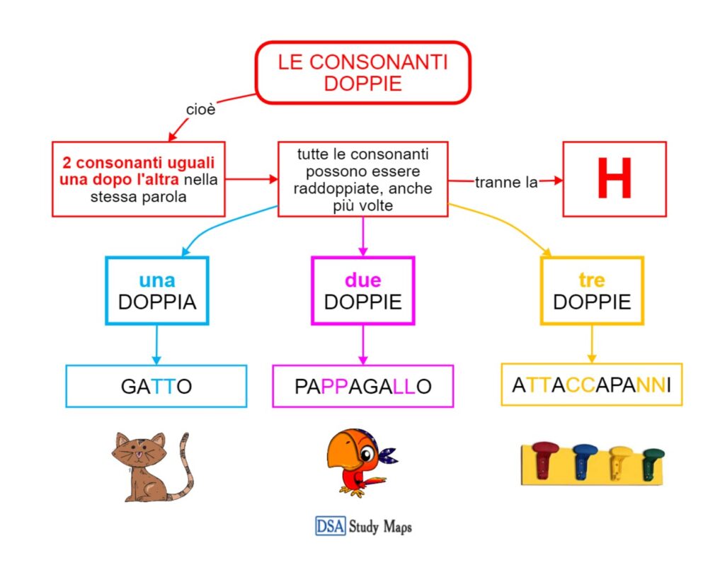 Ortografia – Le Consonanti Doppie - Mappa Concettuale