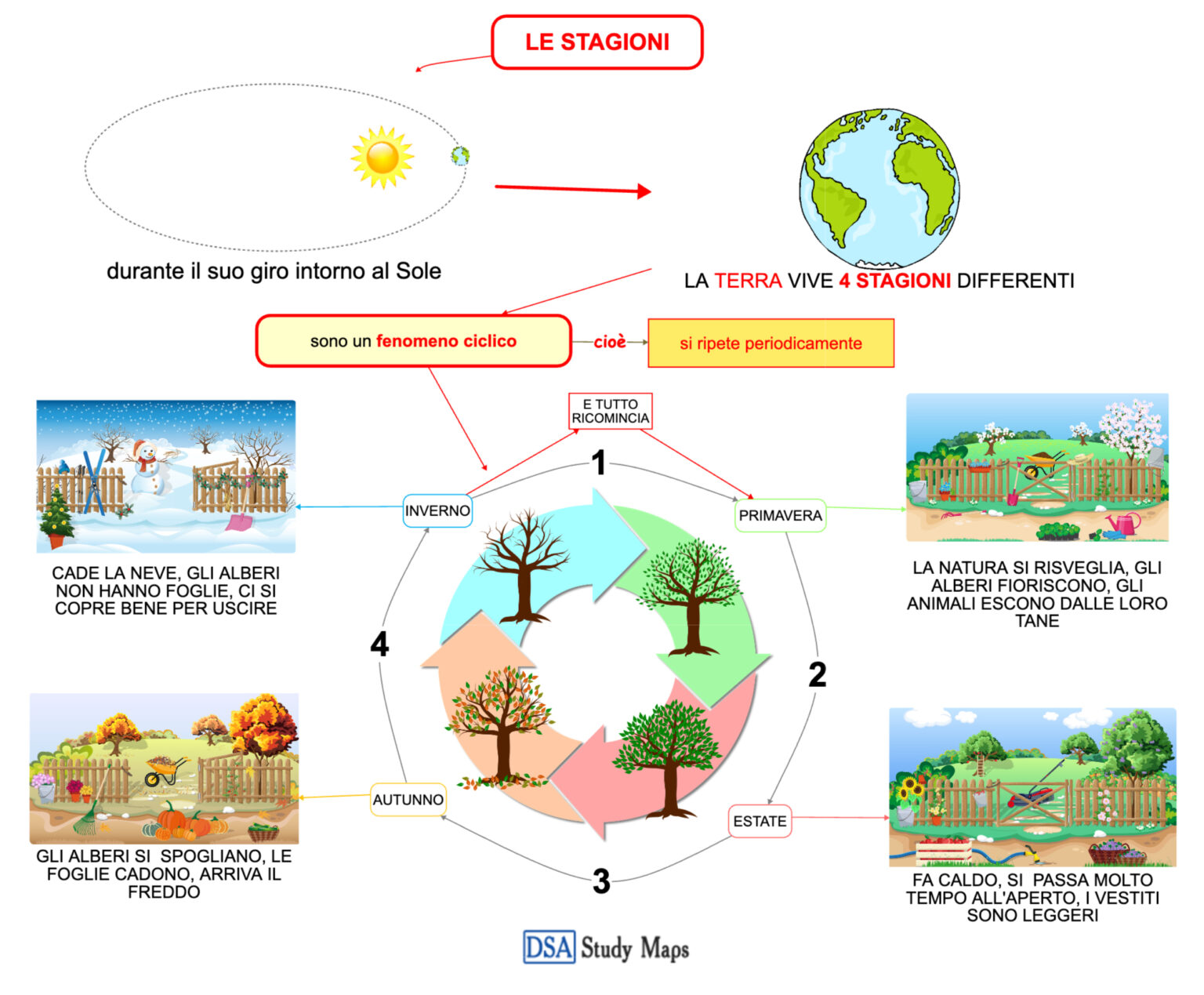 Il Ciclo Delle Stagioni Mappa Concettuale