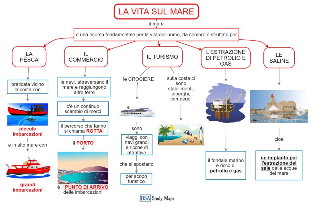 La Vita Sul Mare Mappa Concettuale