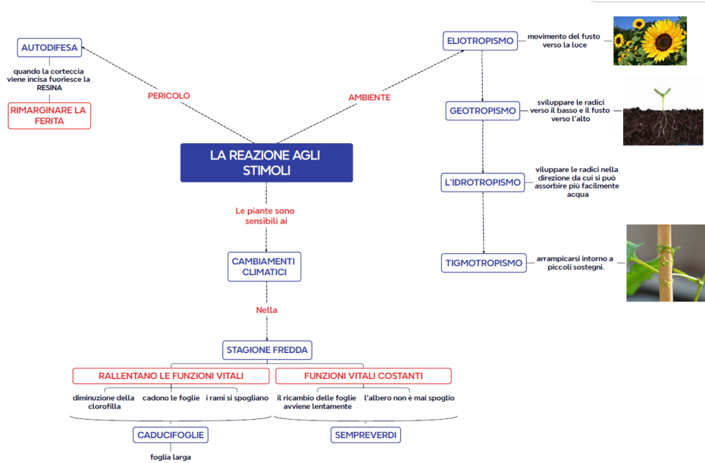  LA REAZIONE AGLI STIMOLI