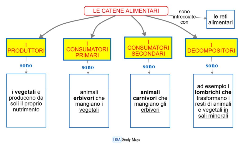 l'ecosistema - le catene alimentari